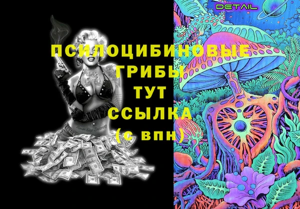 mdma Богородицк