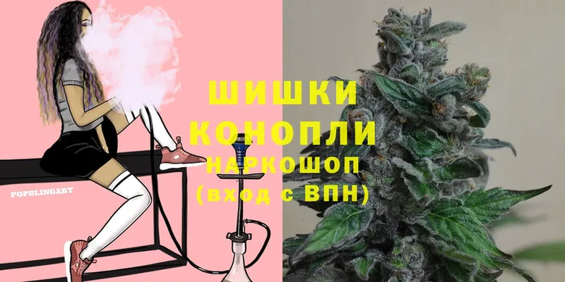 Бошки марихуана THC 21%  Кировск 